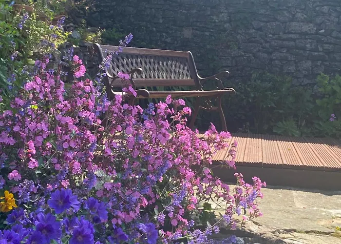 Bluebell Grassington